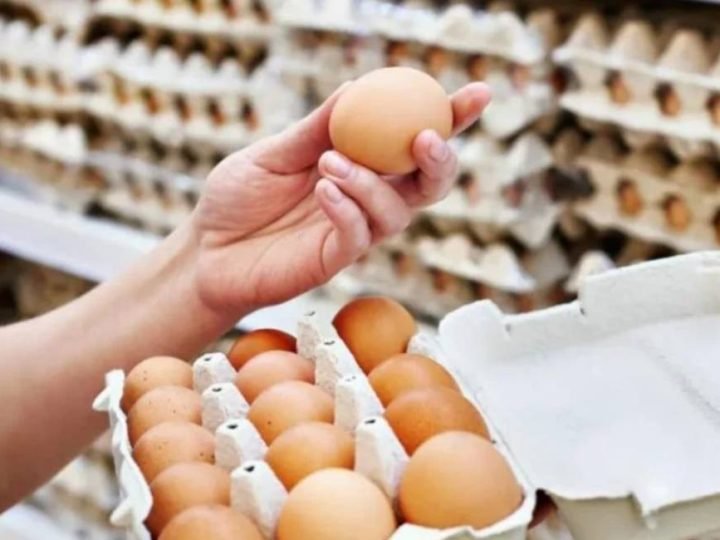 Mercado de ovos ganha valor agregado e se torna estratégico no varejo alimentar