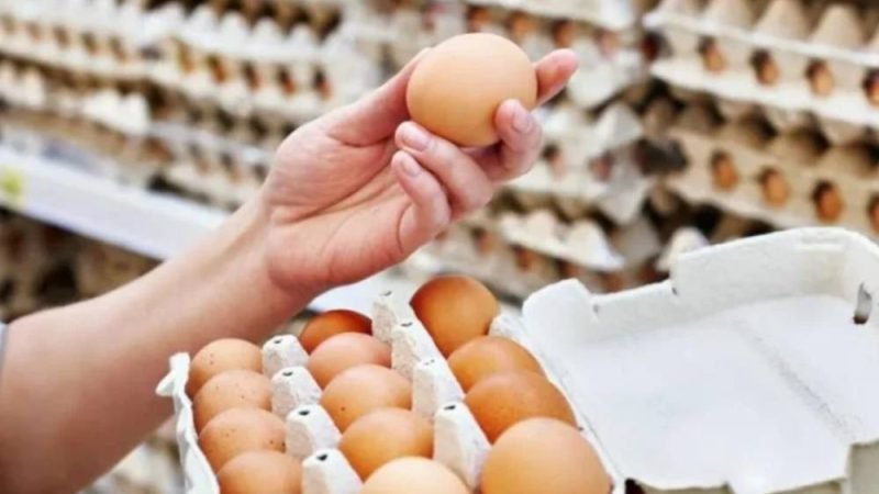 Mercado de ovos ganha valor agregado e se torna estratégico no varejo alimentar