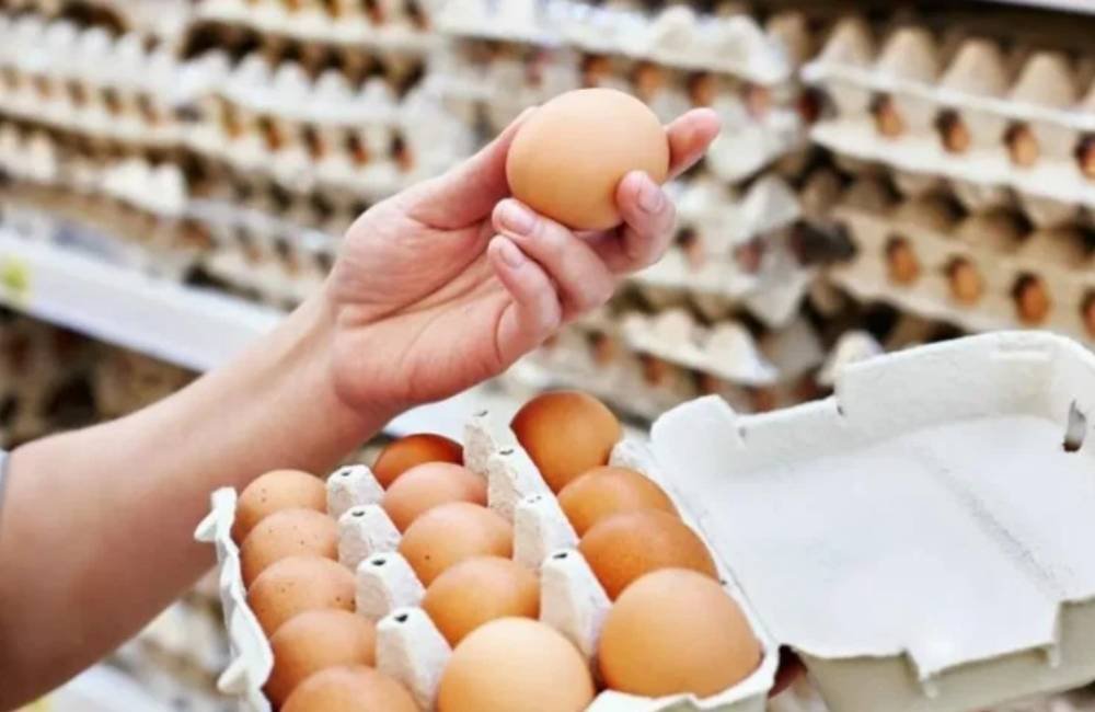 Mercado de ovos ganha valor agregado e se torna estratégico no varejo alimentar
