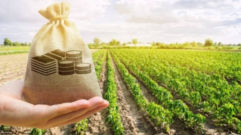 Nova regra para crédito rural pode dificultar acesso de produtores à renegociação de dívidas