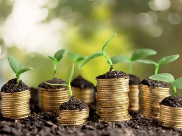 Novo corte no seguro rural preocupa produtores e setor agropecuário