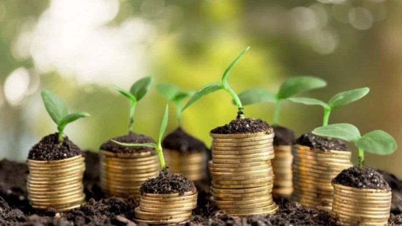Novo corte no seguro rural preocupa produtores e setor agropecuário