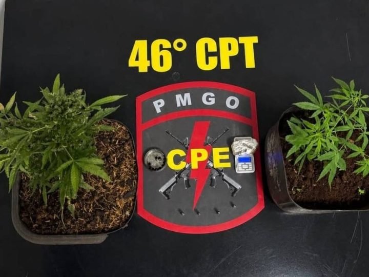 PM de Goiás localiza casa usada para cultivo de maconha e apreende munições em Jataí