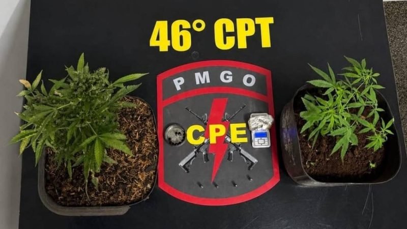 PM de Goiás localiza casa usada para cultivo de maconha e apreende munições em Jataí