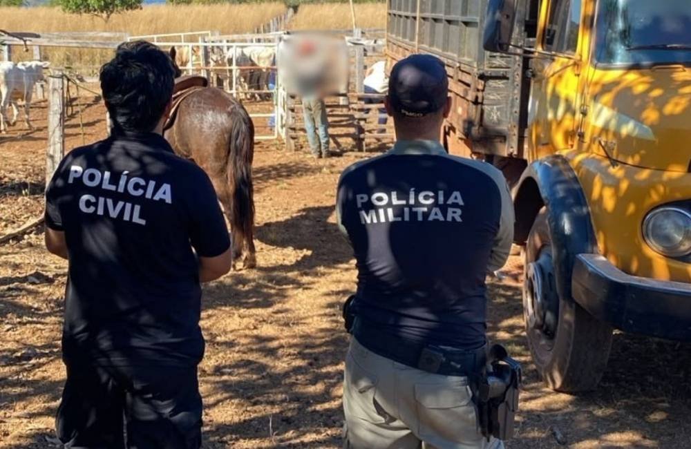 Polícia Civil e Polícia Militar recuperam parte de animais furtados em propriedade rural de São Miguel do Araguaia
