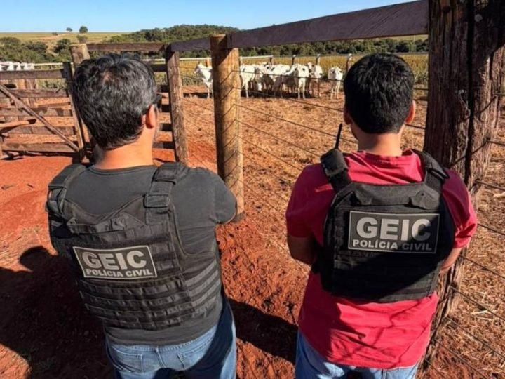 Polícia Civil recupera 14 animais furtados após rápida ação do Geic em Goiás