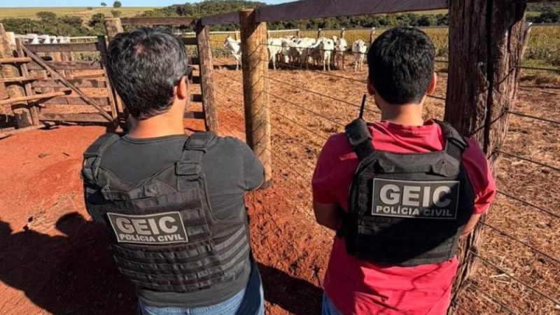 Polícia Civil recupera 14 animais furtados após rápida ação do Geic em Goiás
