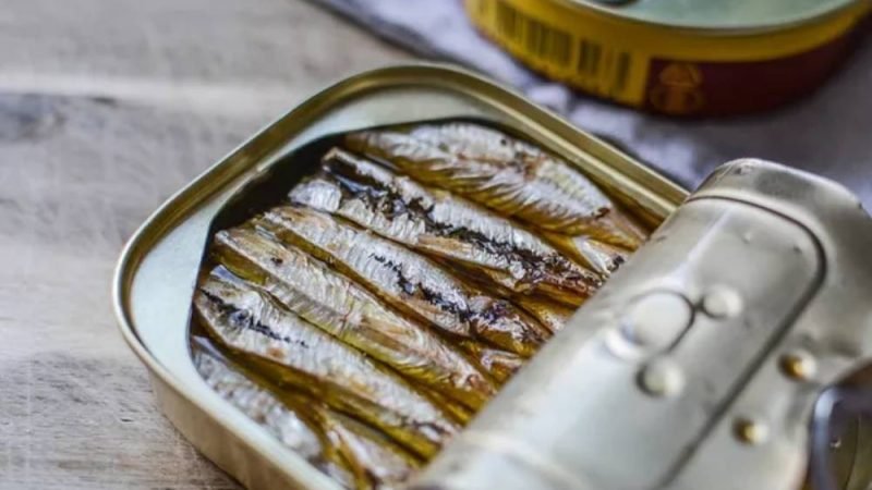 Sardinha enlatada ganha destaque como aliada da saúde e pode ser consumida até três vezes por semana