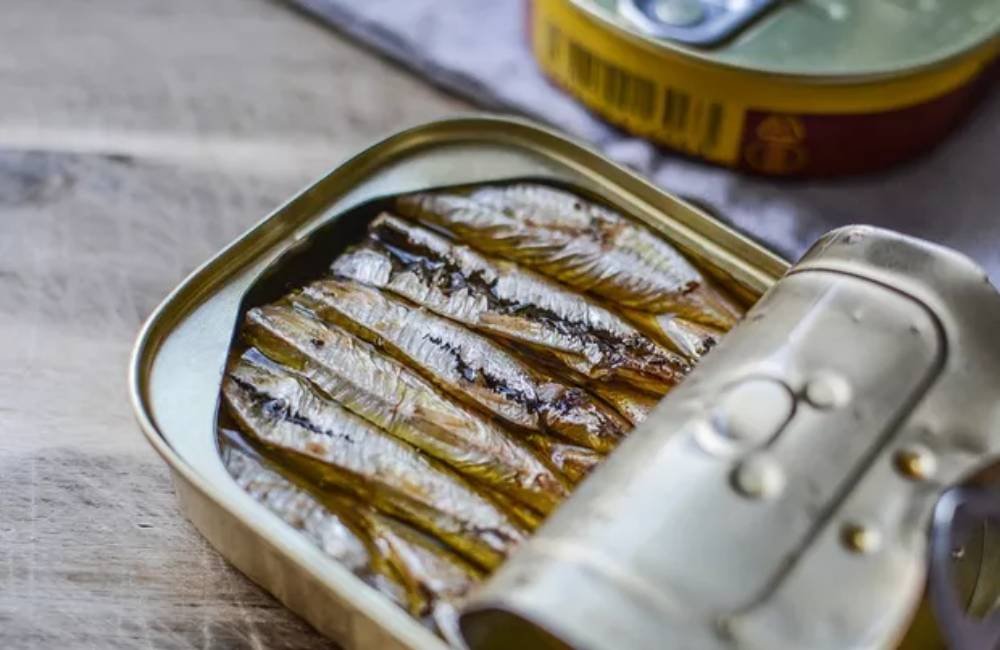 Sardinha enlatada ganha destaque como aliada da saúde e pode ser consumida até três vezes por semana