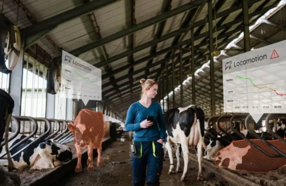 Sensores inteligentes ajudam produtores a identificar rebanhos mais saudáveis e melhorar o bem-estar animal
