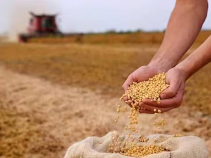 Soja dispara para R$118 em Jataí e encerra semana em alta no mercado do agro