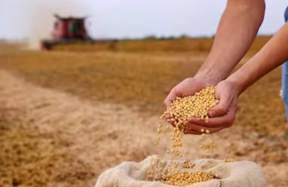 Soja dispara para R$118 em Jataí e encerra semana em alta no mercado do agro