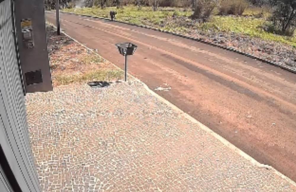 VÍDEO| Homem é preso após incêndio matar 12 filhotes de cachorro em Jataí