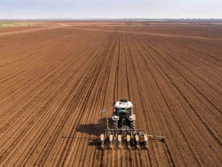 Vazio sanitário da soja começa em Goiás no fim de junho e reforça combate à ferrugem asiática
