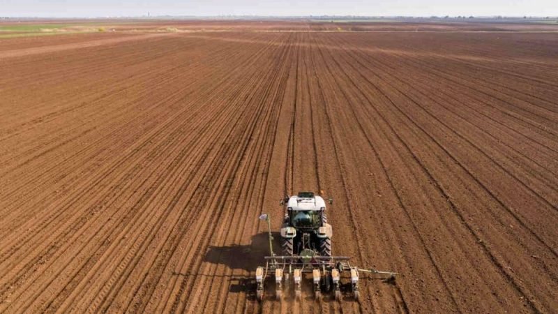 Vazio sanitário da soja começa em Goiás no fim de junho e reforça combate à ferrugem asiática