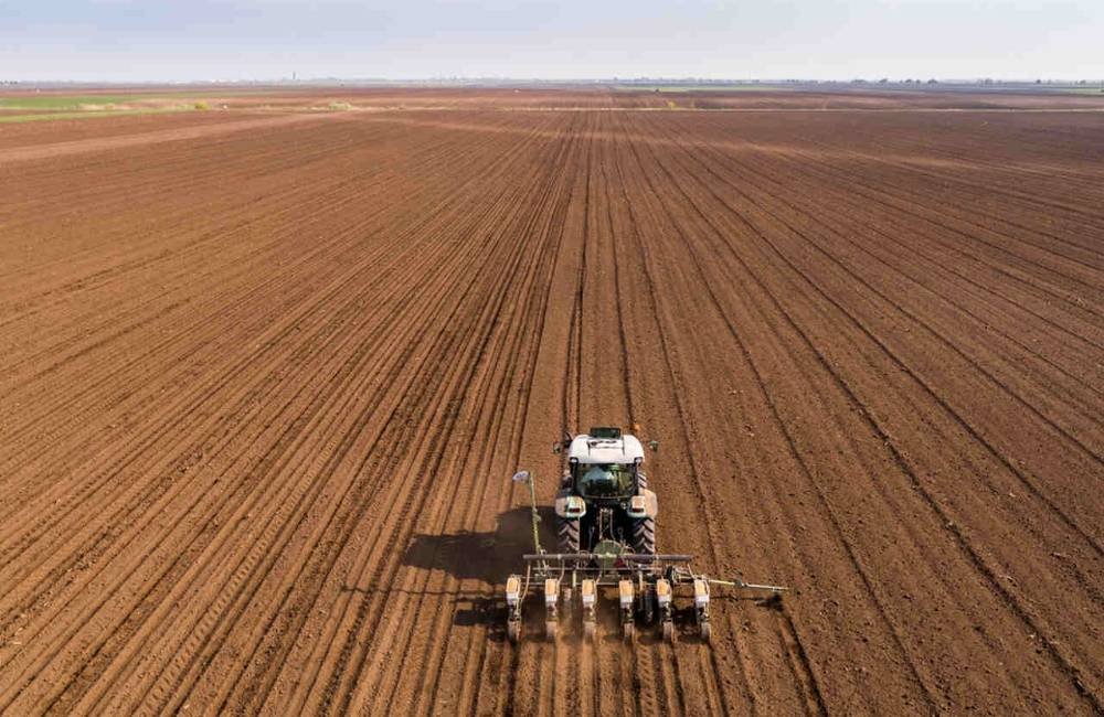 Vazio sanitário da soja começa em Goiás no fim de junho e reforça combate à ferrugem asiática