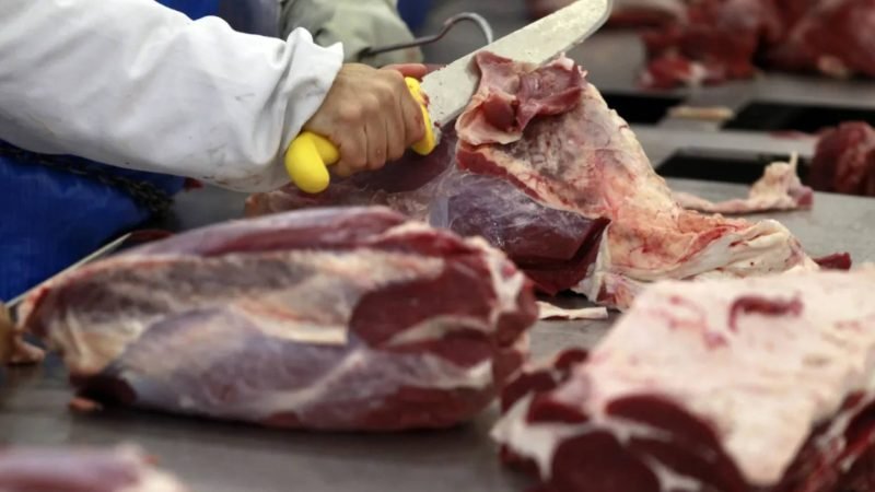 Crise na oferta de gado já impacta frigoríficos dos Estados Unidos