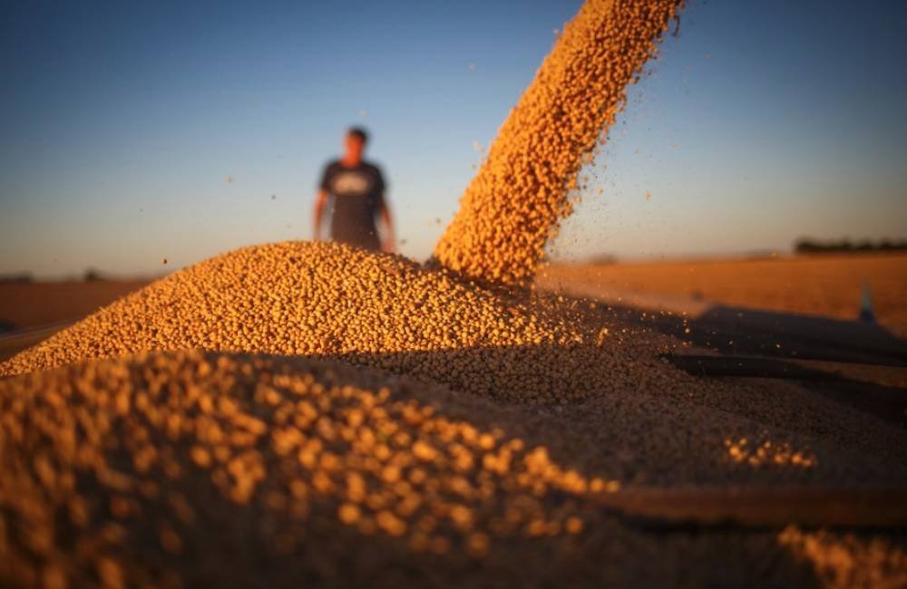 Conab revisa para cima estimativa da safra de grãos e prevê recorde em 2025/26