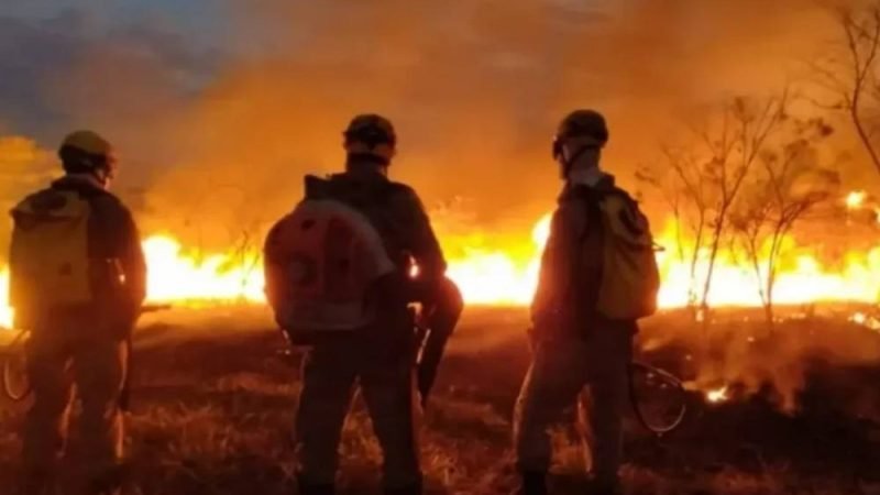 Alerta em Goiás: Corpo de Bombeiros registra média de um incêndio por hora em 2026