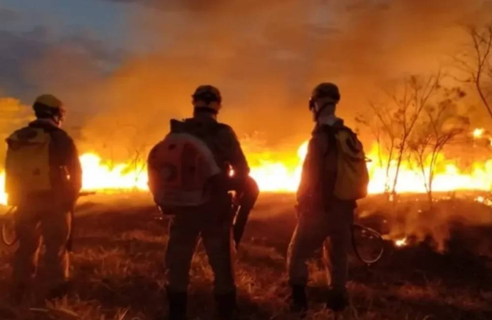 Alerta em Goiás: Corpo de Bombeiros registra média de um incêndio por hora em 2026