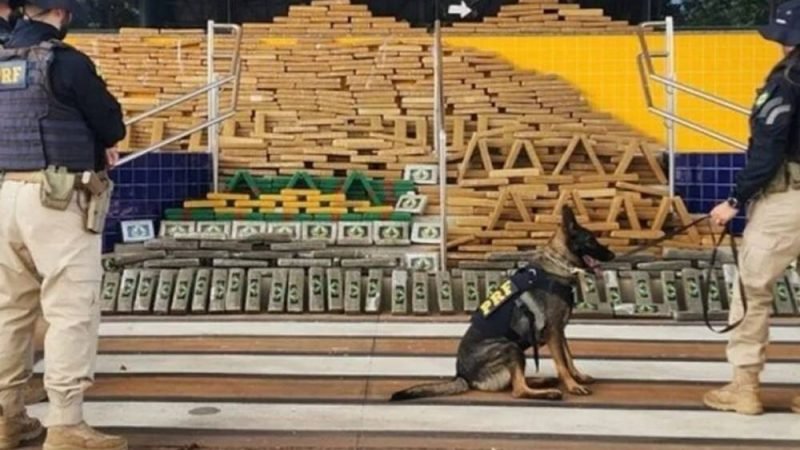 Apreensões de maconha e cocaína disparam em Goiás e reforçam combate ao tráfico no estado