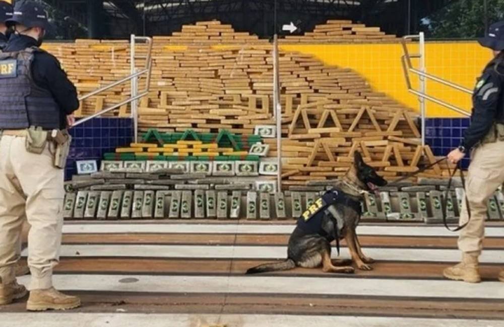 Apreensões de maconha e cocaína disparam em Goiás e reforçam combate ao tráfico no estado