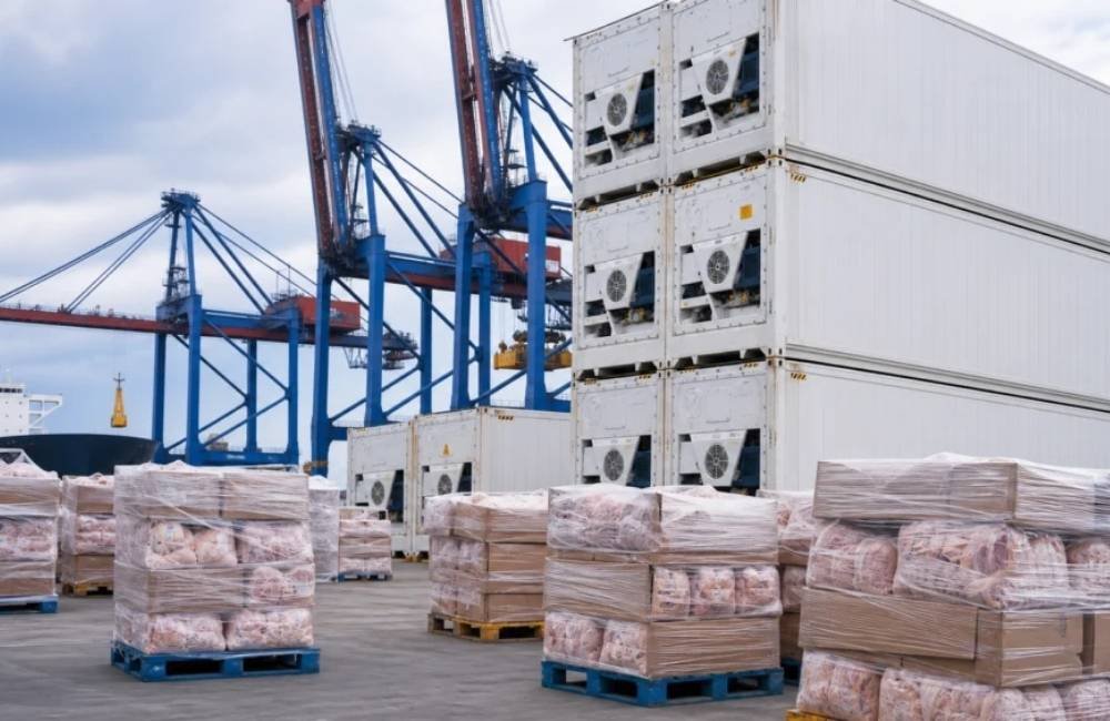 Brasil amplia exportações com abertura de novos mercados para o agro