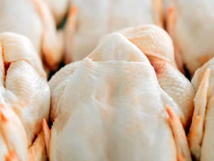 Brasil amplia mercado do frango e exportações devem crescer 10,3% em 2026