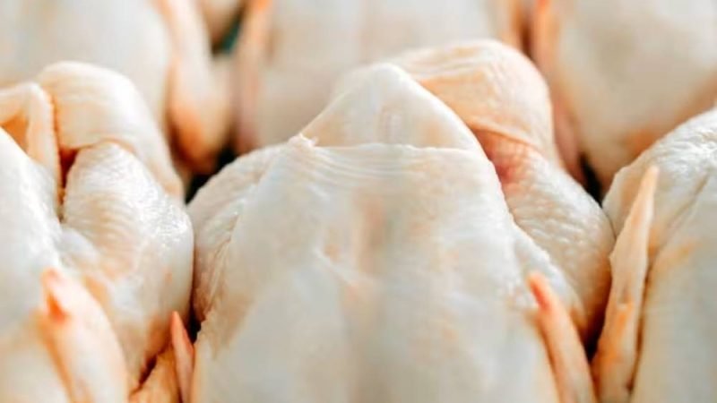 Brasil amplia mercado do frango e exportações devem crescer 10,3% em 2026