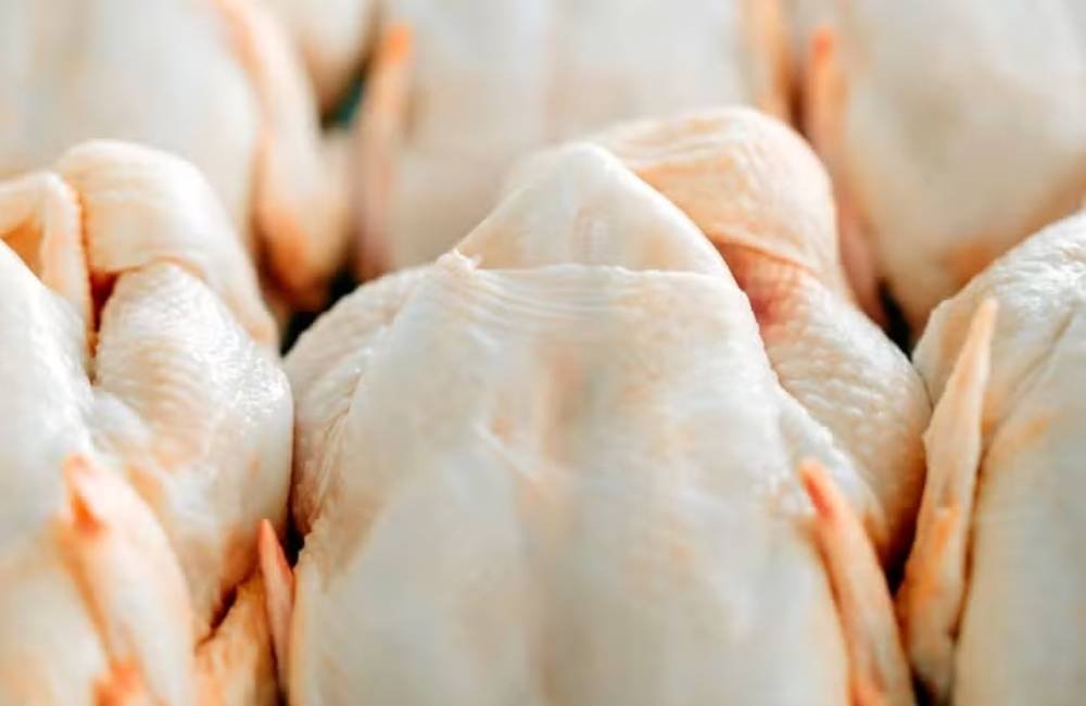 Brasil amplia mercado do frango e exportações devem crescer 10,3% em 2026