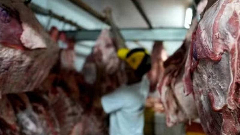 Brasil prepara reação internacional após veto europeu à carne e avalia recorrer à OMC