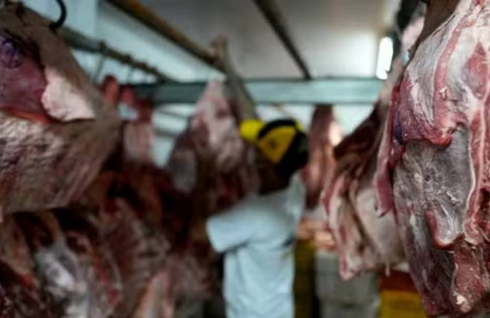 Brasil prepara reação internacional após veto europeu à carne e avalia recorrer à OMC