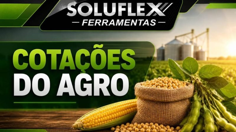Cotações do Agro em Jataí hoje: confira os preços da soja, milho, sorgo e boi nesta terça-feira (21)
