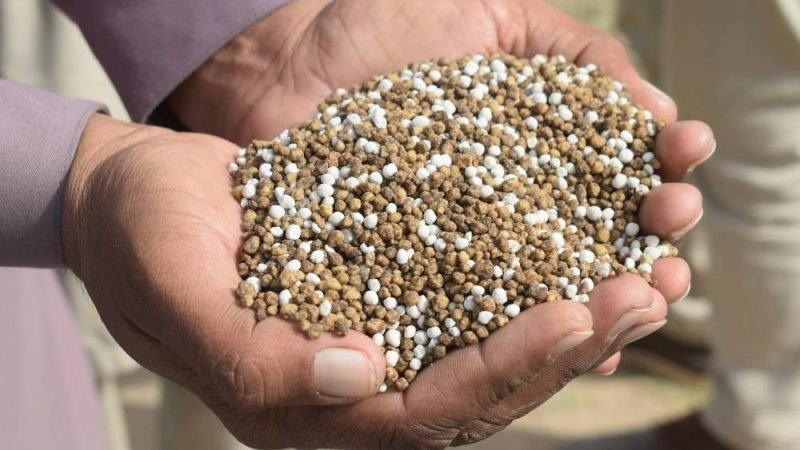 Crise dos fertilizantes e El Niño podem encarecer arroz, café e trigo