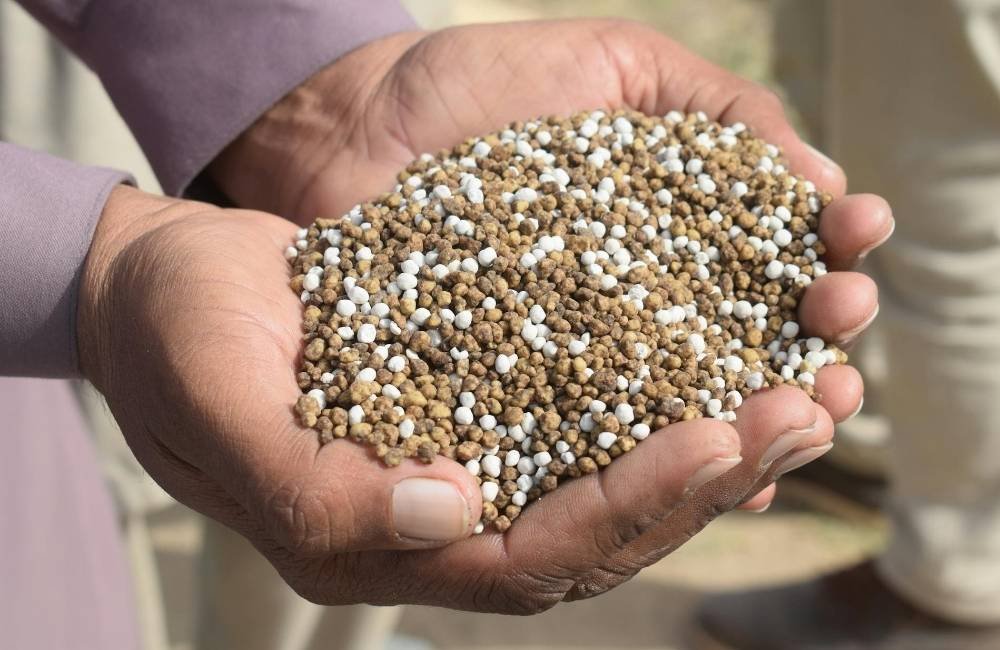 Crise dos fertilizantes e El Niño podem encarecer arroz, café e trigo