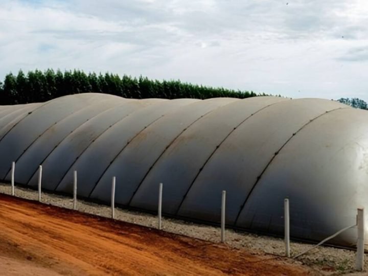Dejetos de aves e suínos podem transformar resíduos em energia e nova fonte de renda no campo