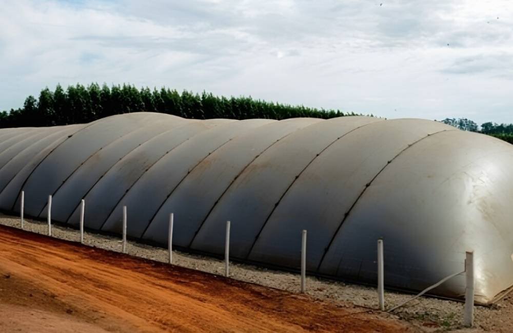 Dejetos de aves e suínos podem transformar resíduos em energia e nova fonte de renda no campo