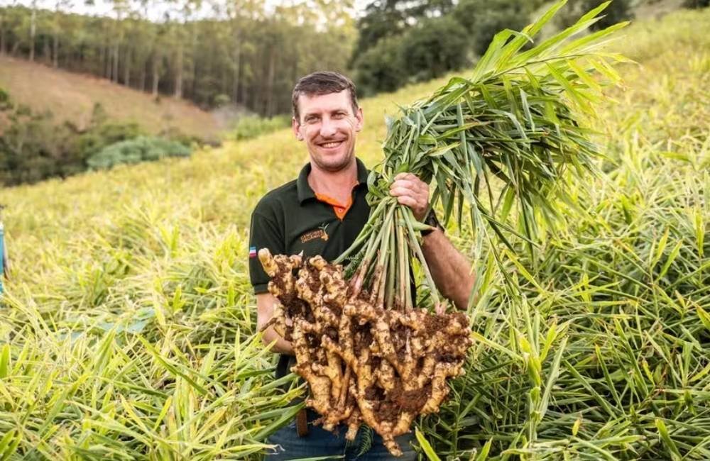 Do campo para a mesa: Dia do Agricultor celebra quem alimenta o Brasil e impulsiona a economia