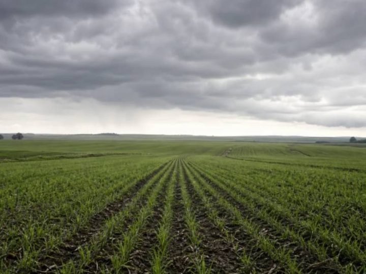 El Niño forte acende alerta para a soja e pode elevar custos no campo