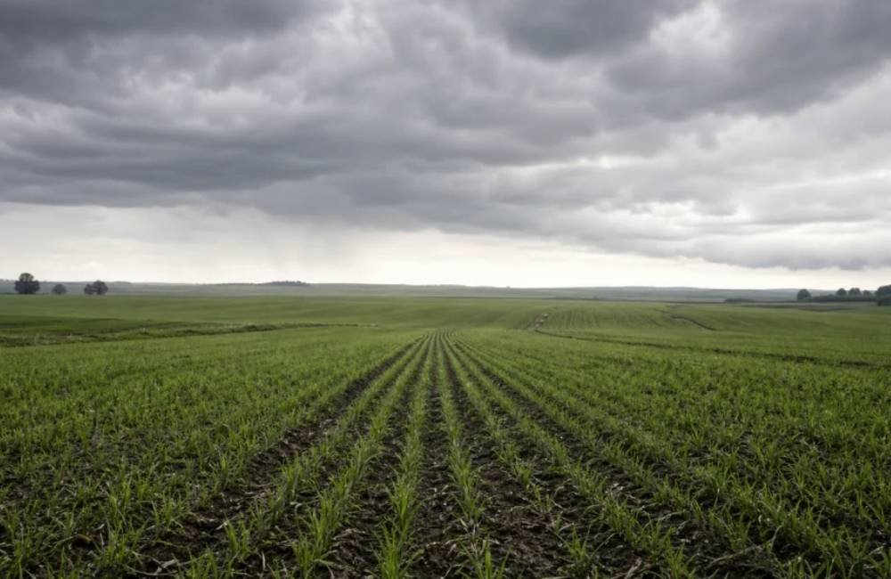 El Niño forte acende alerta para a soja e pode elevar custos no campo