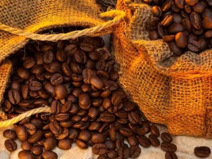 El Niño pode elevar preços dos alimentos e preocupa produtores brasileiros