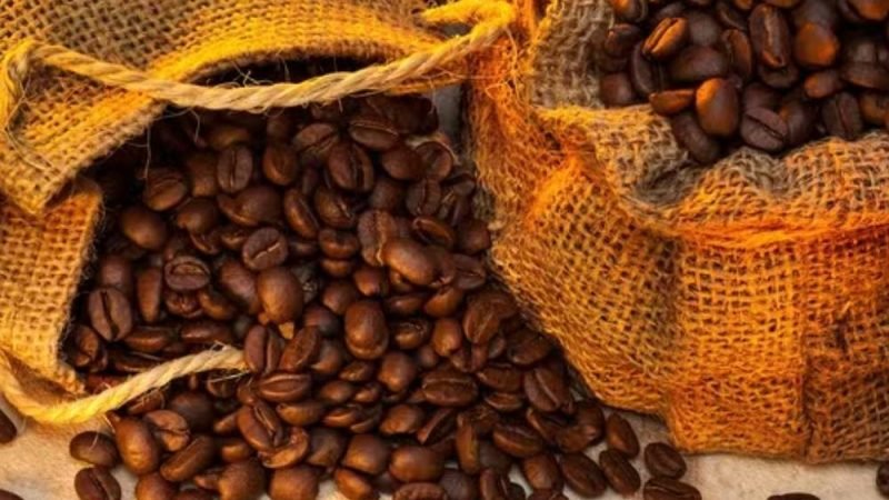El Niño pode elevar preços dos alimentos e preocupa produtores brasileiros