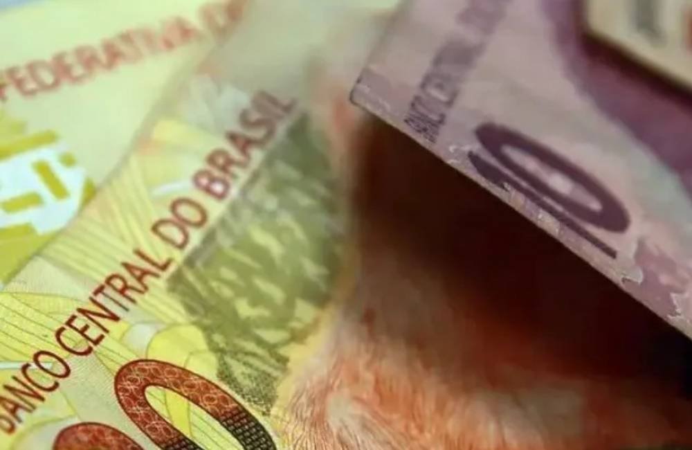 Elas parecem simples, mas podem render mais de R$ 5 mil por mês: Conheça 6 profissões em alta no mercado