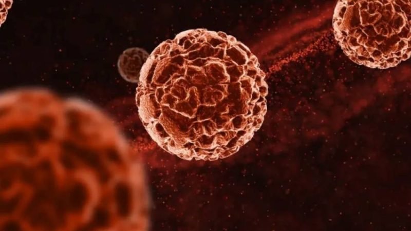 Estudo acende alerta: Novas gerações podem envelhecer mais rápido e aumentar risco de câncer precoce