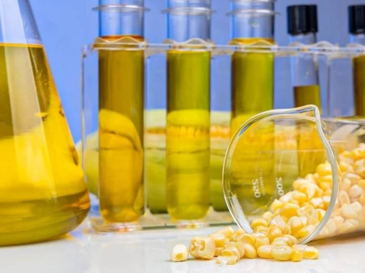 Etanol de milho muda mercado do cereal e aumenta disputa pelo grão no Brasil