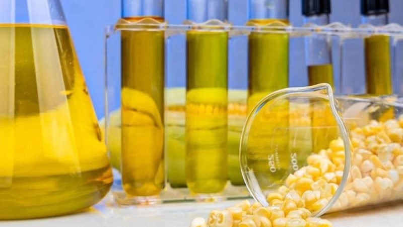 Etanol de milho muda mercado do cereal e aumenta disputa pelo grão no Brasil