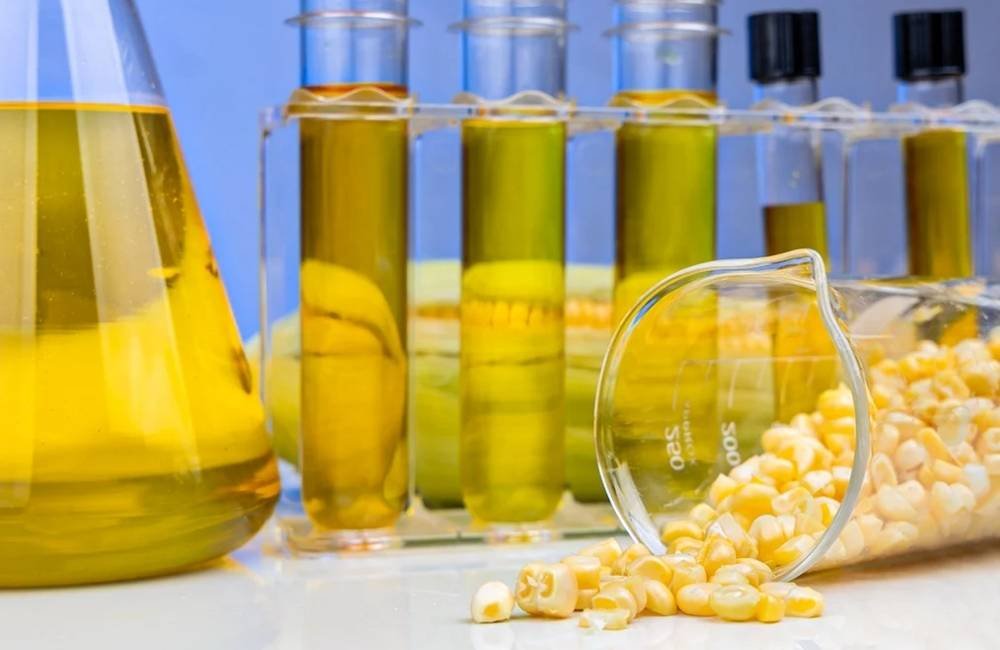 Etanol de milho muda mercado do cereal e aumenta disputa pelo grão no Brasil