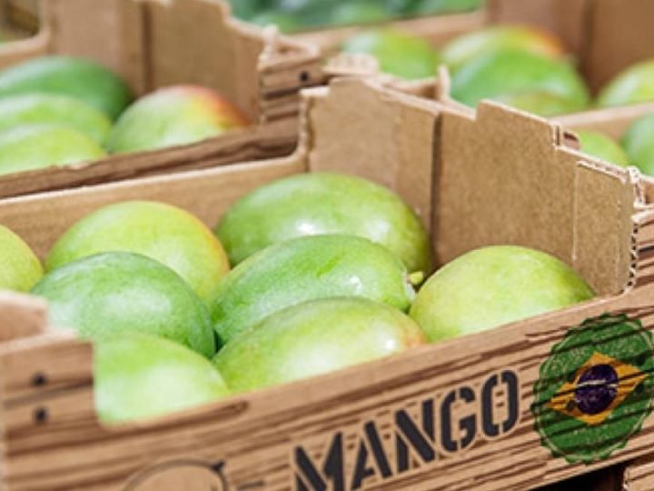 Exportações de frutas do Brasil disparam em 2026 e receita cresce 20% no mercado internacional