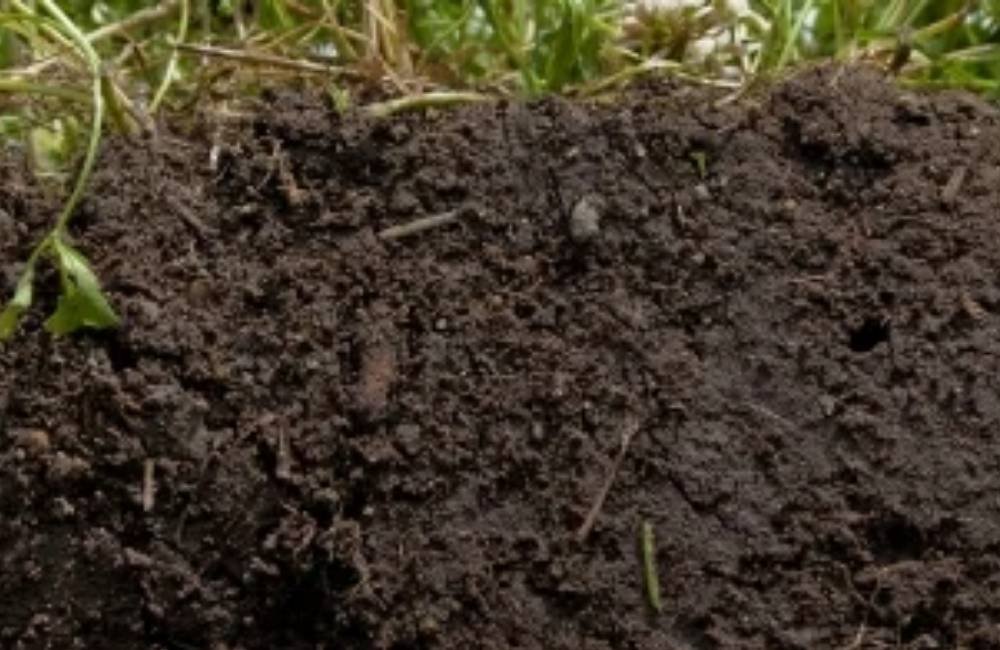 Fertilizante inteligente desenvolvido no Brasil promete regenerar solos e reduzir emissões no campo