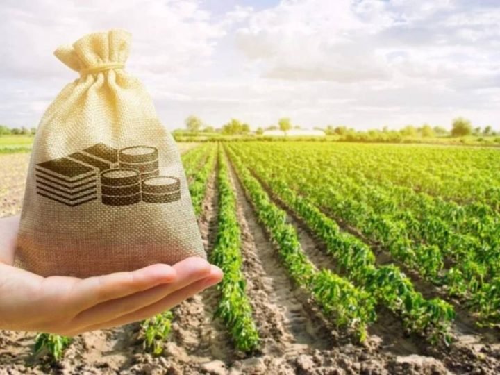 Governo abre caminho para renegociação de dívidas rurais e amplia acesso ao crédito para produtores